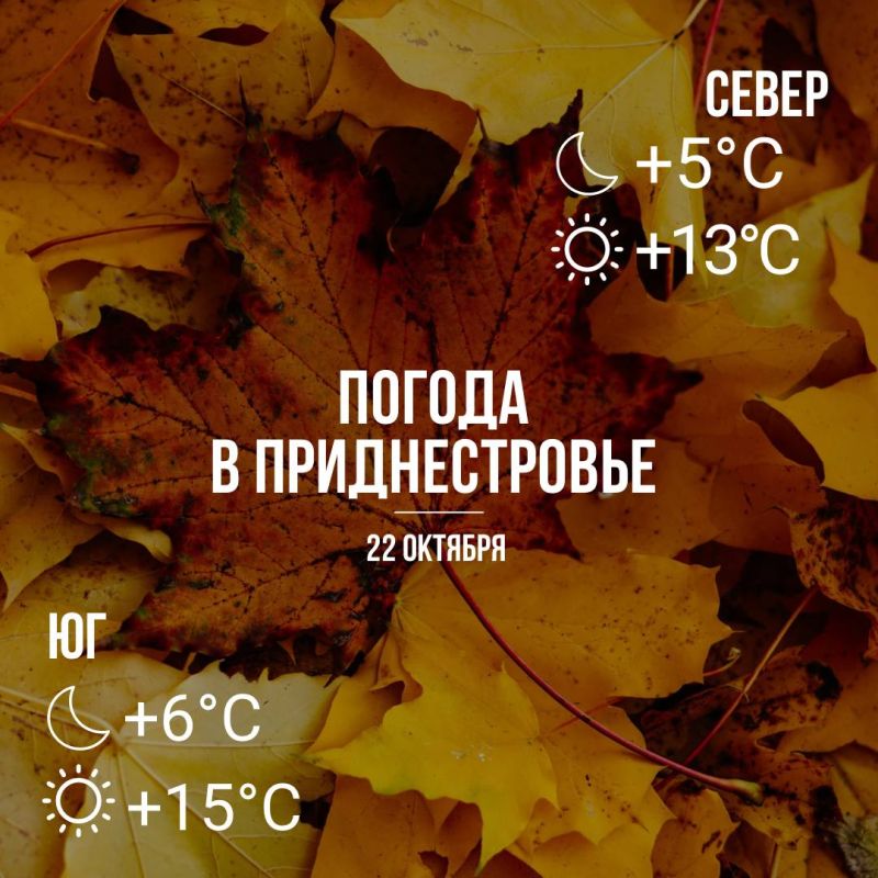 Днём – до +15°С, без осадков