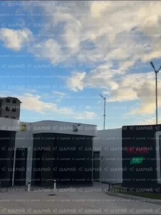 ���� ��������� ���������