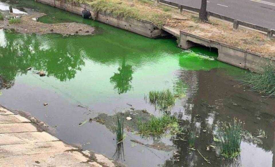 Вода в реке Бык позеленела из-за утечки флуоресцеина