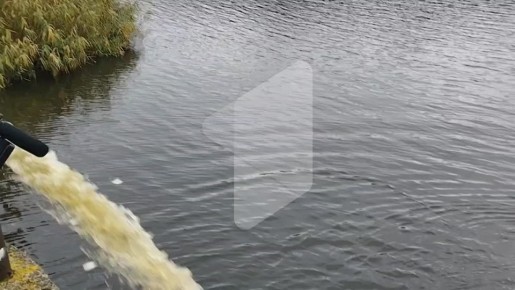 В воды заповедника Ягорлык выпустили 1,5 тонны мальков: белый амур и толстолобик