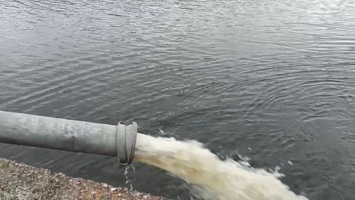 Со слов заместителя начальника управления водных и рыбных ресурсов ведомства Сергея Чура, с начала проведения осеннего этапа зарыбления в рыбохозяйственные водоемы республики переселили 4,5 тонны растительноядных видов рыбы
