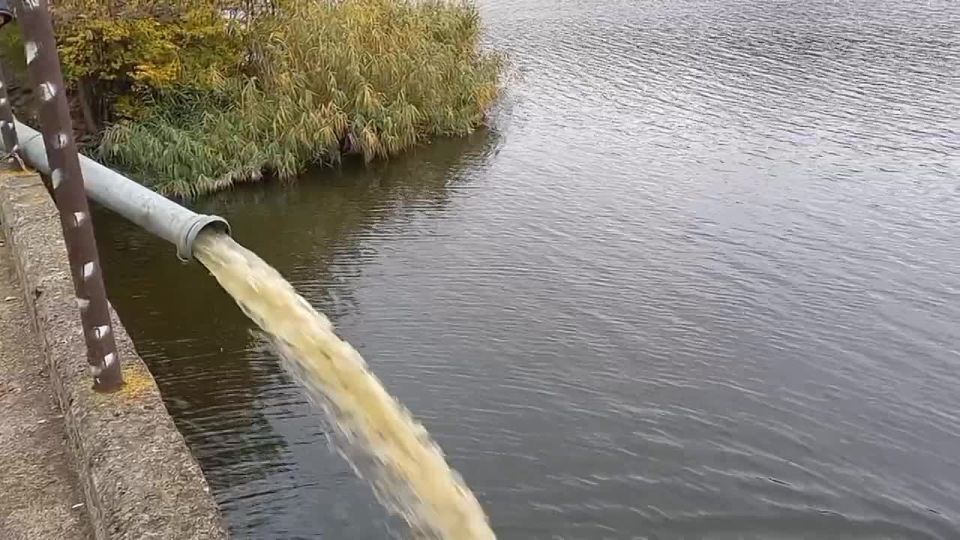 Вот так «сливают» 1,5 тонны рыбы