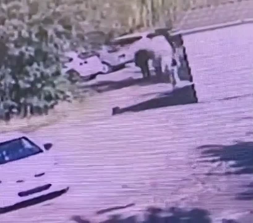 �������, ������ ��������� ����������� ������� ����� ���� ��� ������� ���� �� �����