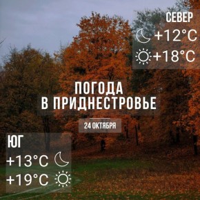 Утром местами туман. Днём – до +19°С