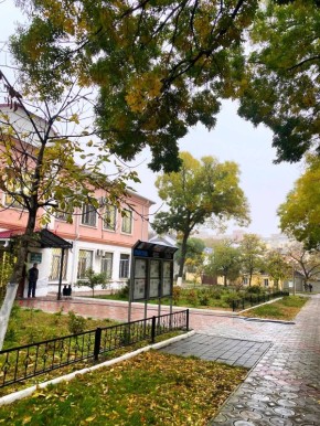 Спокойствие туманного утра у стен газеты "Приднестровье"