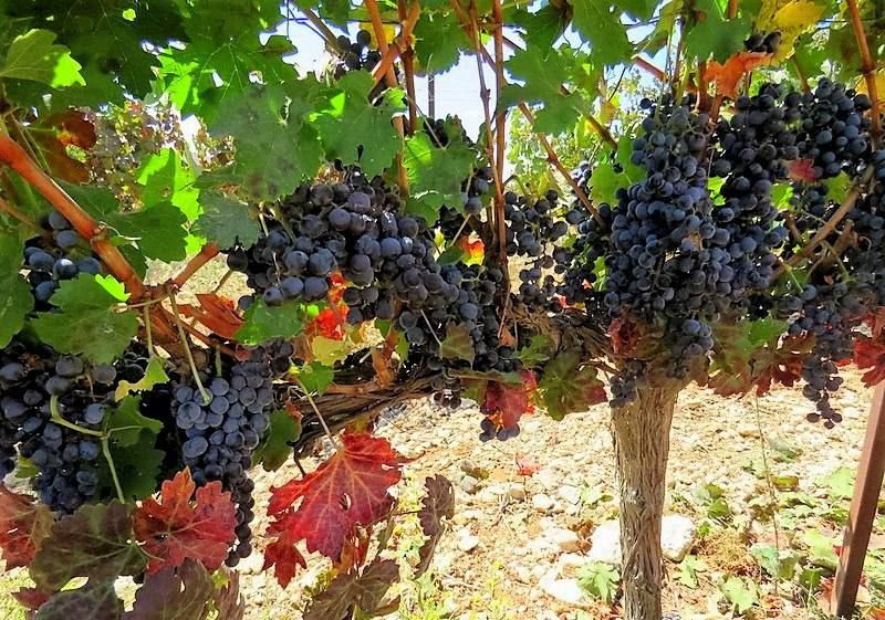 Милиция выясняет обстоятельства ссоры между соседями