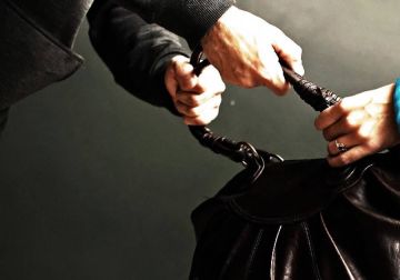 Сумочку вернул, но без денег