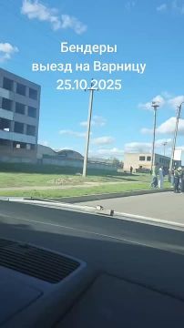 Три машины в субботу заблокировали подъезд к таможне на Варнице