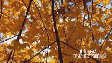 Осень в центральном парке Рыбницы