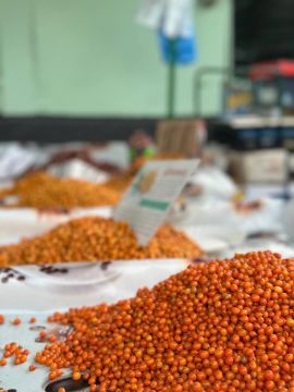 Цена на облепиху кусается, за килограмм хотят 150-200 рублей