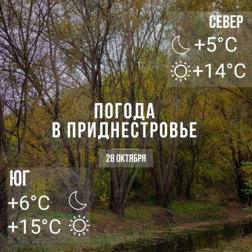 Днём – до +15°С. Местам дожди