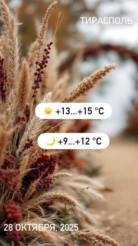 &quot;   ,         .&quot;