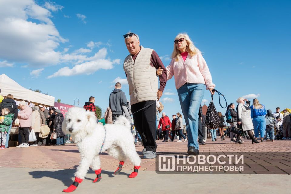 Фото дня: Фестиваль вина в Александро-Невском парке — повод выгулять красные черевички
