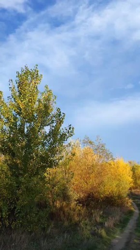 Подписчики делятся красотой осени на берегу Днестра