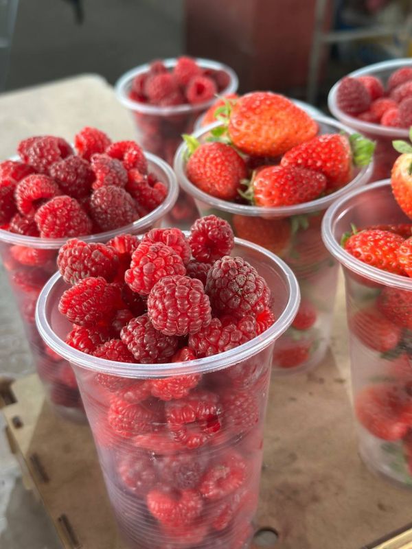 Последнюю местную малину продают по 100 рублей