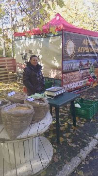 На полях Дубоссарского ООО «Лендер Агроприм» идёт уборка кукурузы