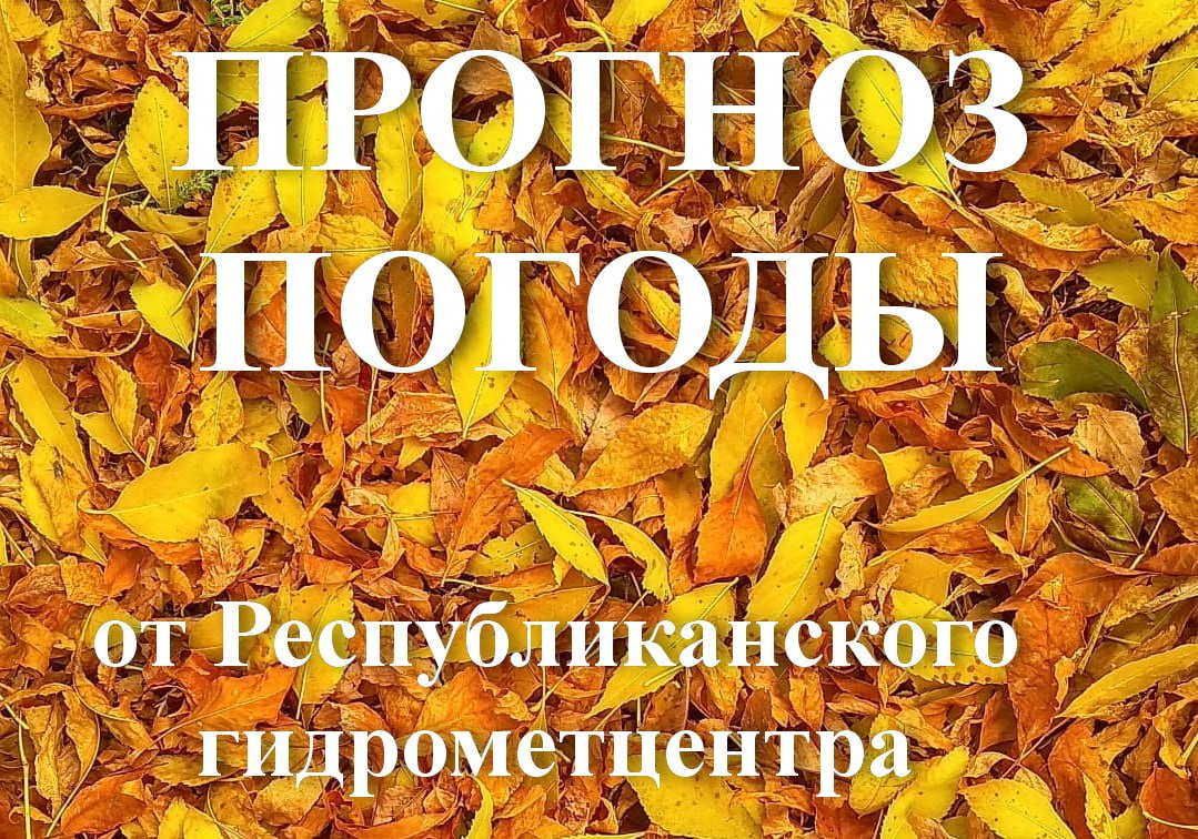 Доброго утра!. Прогноз погоды на сегодня, 29 октября