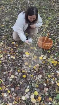 «Сначала фотосессия, потом сбор», – Анна Мальцева из посёлка Красное (Слободзейский район) сегодня на «тихой охоте»