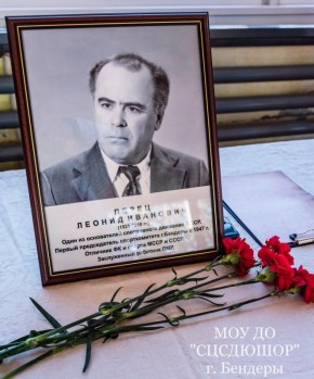 Фестиваль спорта памяти Л.И. Перца