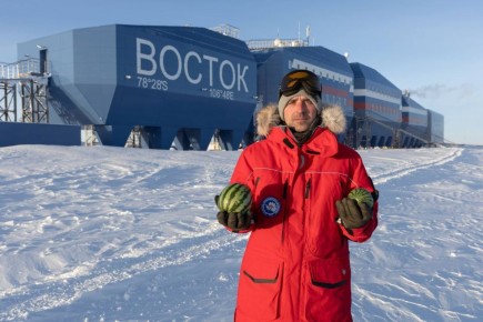 В Антарктике собрали урожай арбузов