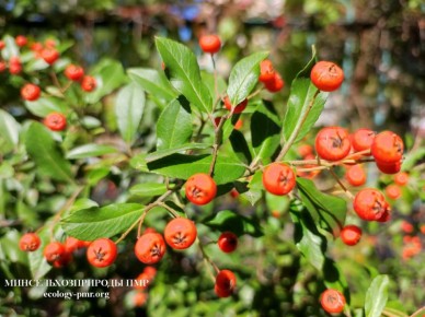 Анализ погоды от главного метеоролога Приднестровья