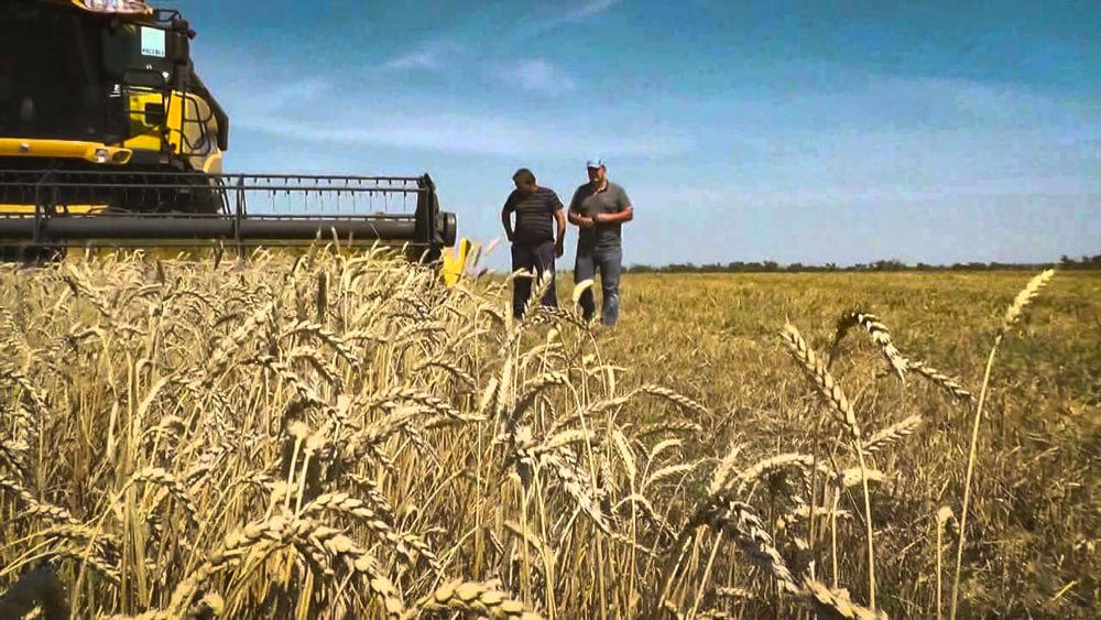 Упрощенный порядок перемещения товаров для землепользователей Дубоссарского района, действующий до 1 ноября 2025 г., продлен до 1 февраля 2026 г. включительно