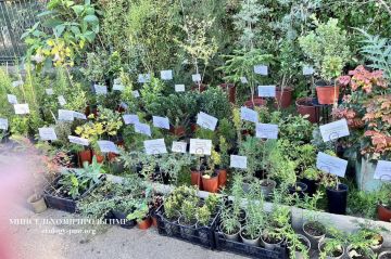 Завтра, 1 ноября, Республиканский ботанический сад приглашает всех на выставку-продажу декоративных и плодово-ягодных культур, семян и средств защиты растений