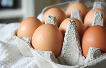 В Молдове выявили заражённые сальмонеллой куриные яйца