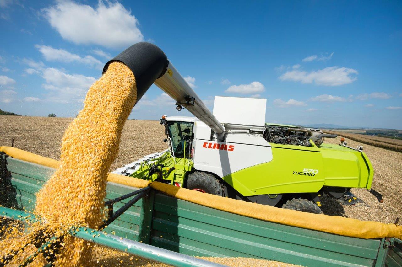 Аграрии Приднестровья собрали 378 тысяч тонн зерновых