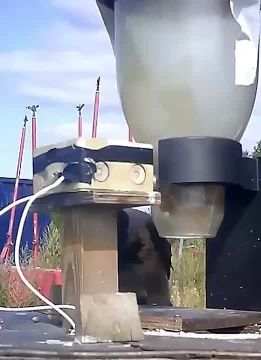 В Швеции придумали, как бороться с окурками с помощью ворон