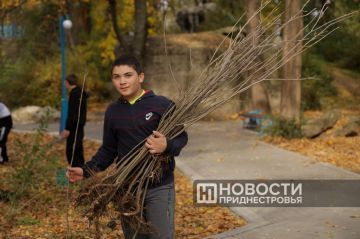 Более 20 деревьев высадила сегодня молодежь Чобручей в парке Дмитрия Родина