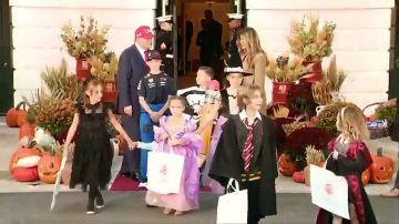 Трамп отмечает Хэллоуин: он положил сладости прямо на голову миньона, а также оценил костюм унитаза