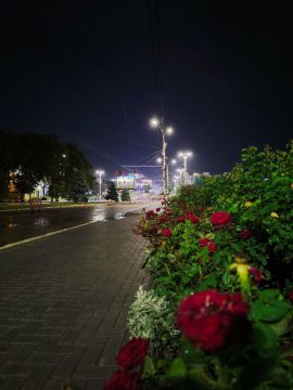 15 тысяч роз планируют высадить в этом году по всей республике