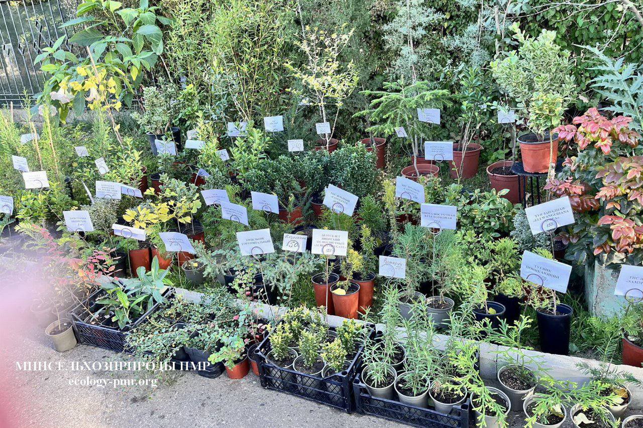 Завтра, 1 ноября, Республиканский ботанический сад приглашает всех на выставку-продажу декоративных и плодово-ягодных культур, семян и средств защиты растений