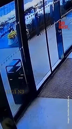 Что значит «с животными нельзя?»: