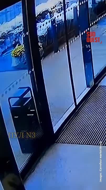 Что значит «с животными нельзя?»: