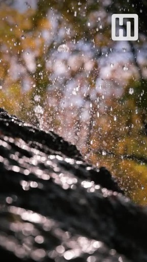 Фотокорреспондент Артем Кулекин привез из парка Дмитрия Родина в Чобурчах золото осени