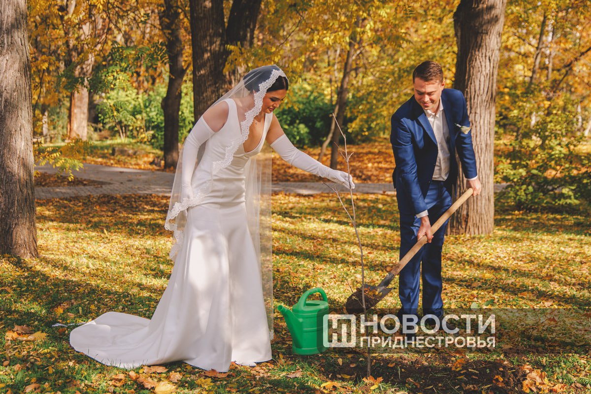 Молодожены из России приехали в Чобручи, чтобы высадить дерево в парке им. Дмитрия Родина