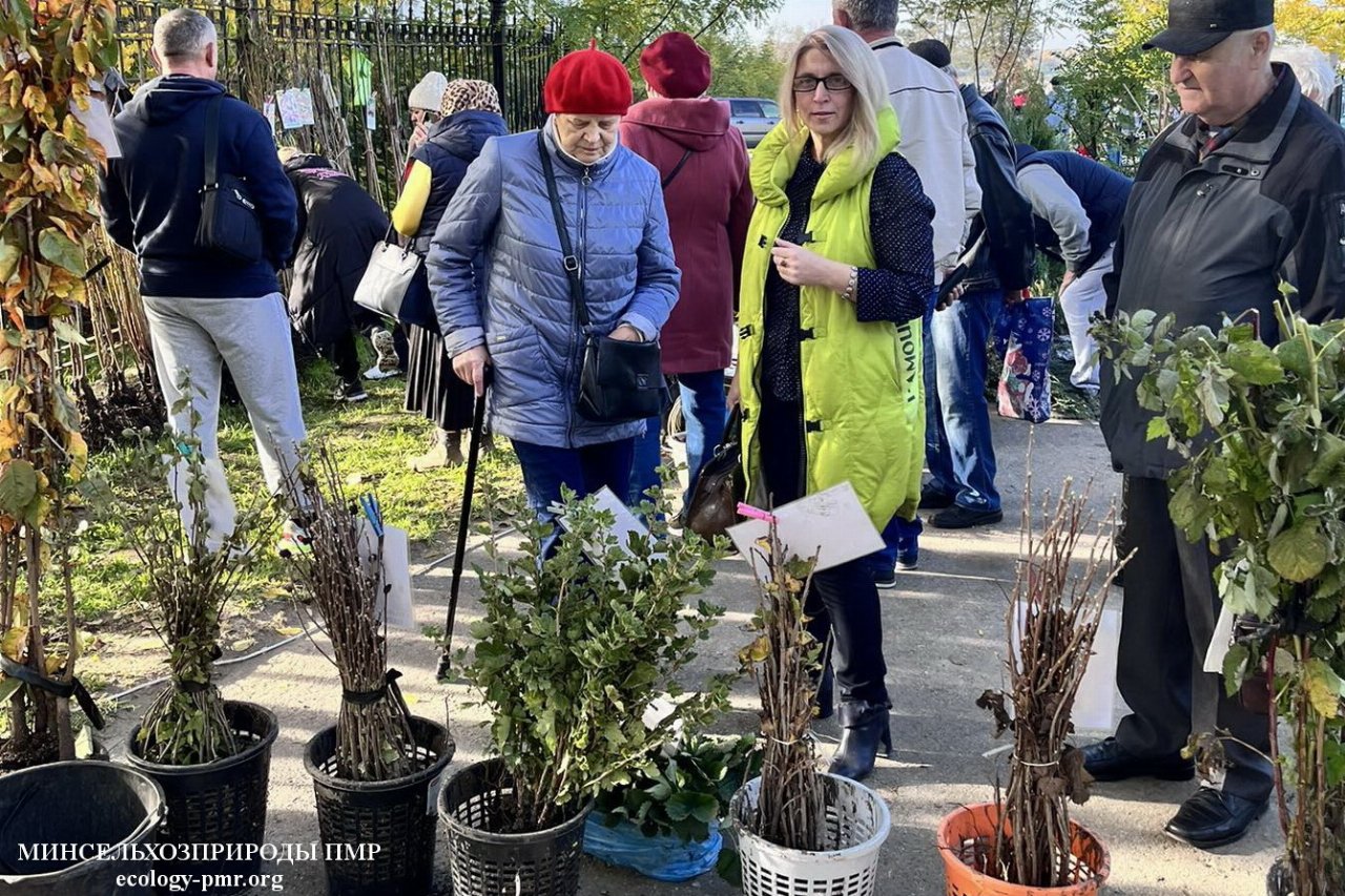 Республиканский ботсад: выставка-продажа растений