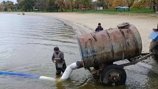 Вот так сеголетки карася отправляются на постоянное место жительства в Кучурганское водохранилище