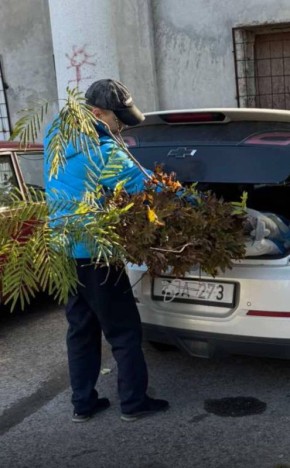 Невыполнимая задача после сорения деньгами - впихнуть покупки в багажник