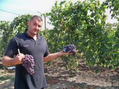 Для Андрея Вонжула виноград - не просто растение, а живое чудо, в котором соединились земля, солнце и человеческий труд