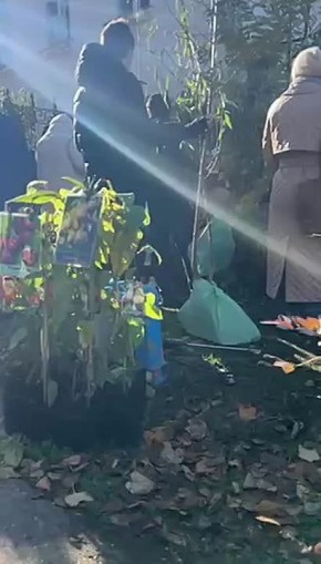 Людей на выставке-продаже возле дендрария было больше, чем саженцев и цветов