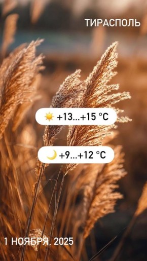 Врываемся в выходные, друзья!