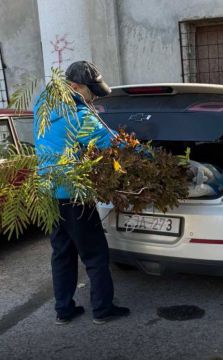 Невыполнимая задача после сорения деньгами - впихнуть покупки в багажник