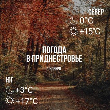 Днём – до +17°С, без осадков