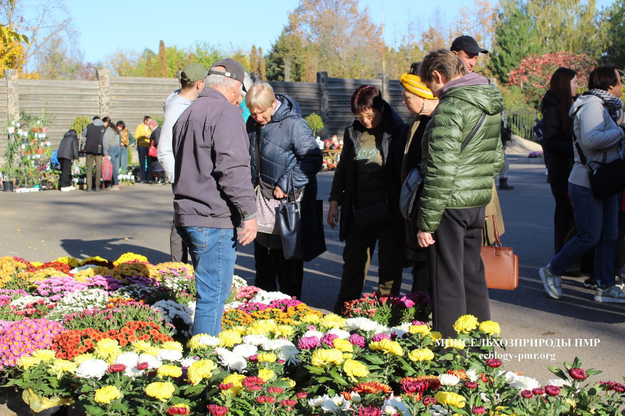 В Тирасполе проходит выставка-продажа растений