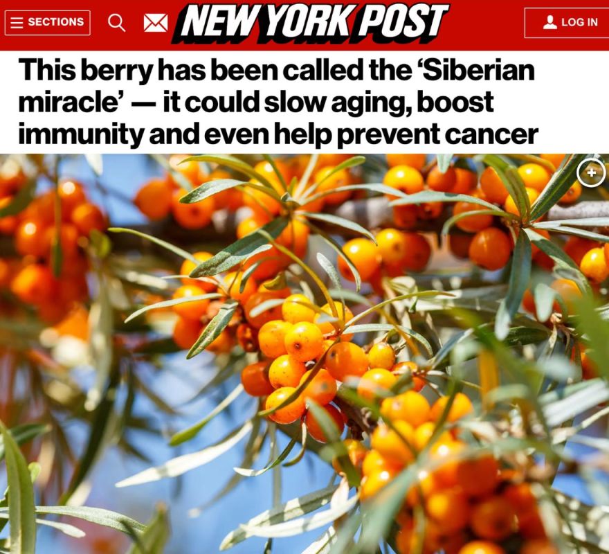           ,        :    &quot; &quot;,  