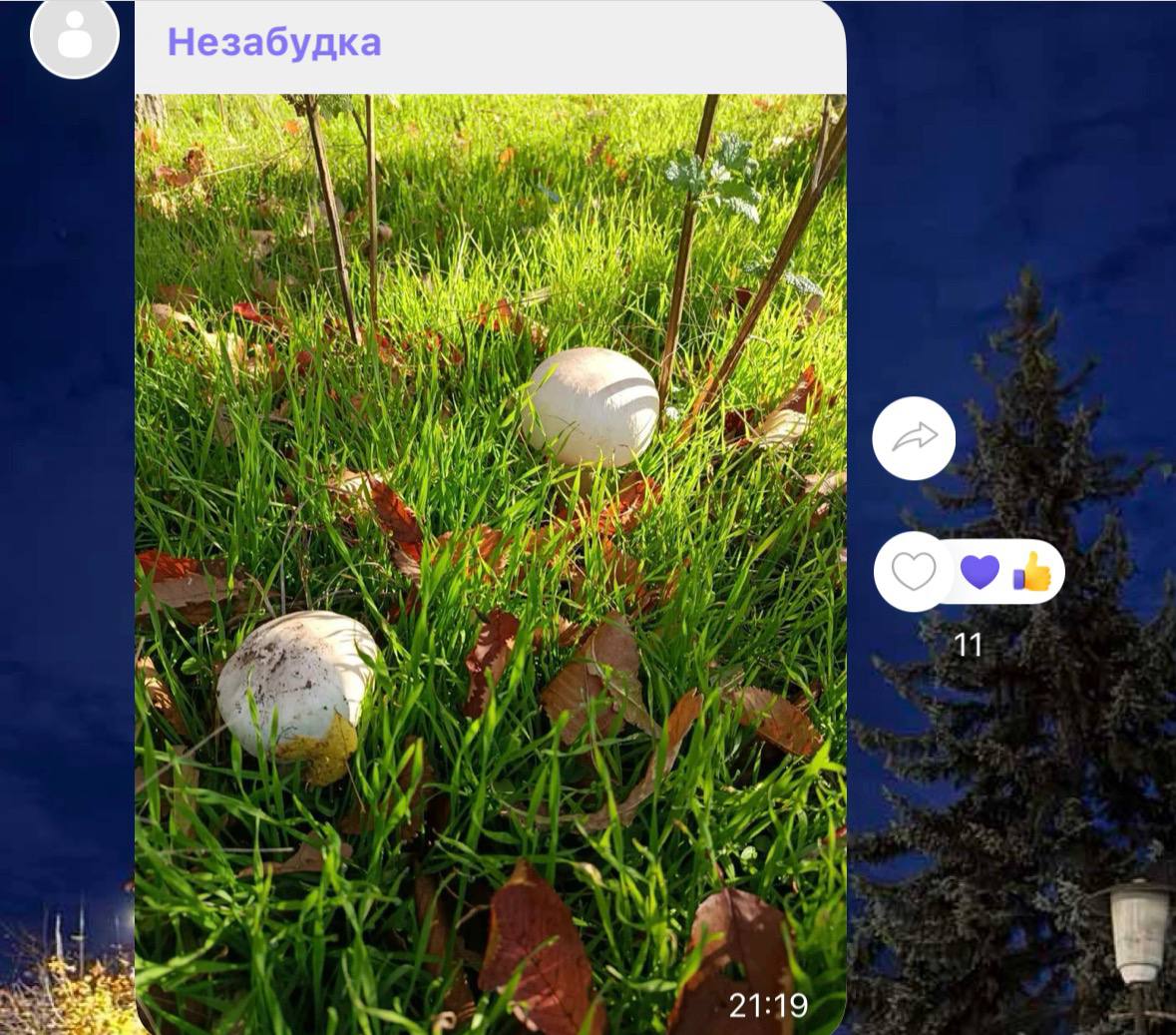 Сейчас – сезон «тихой охоты»