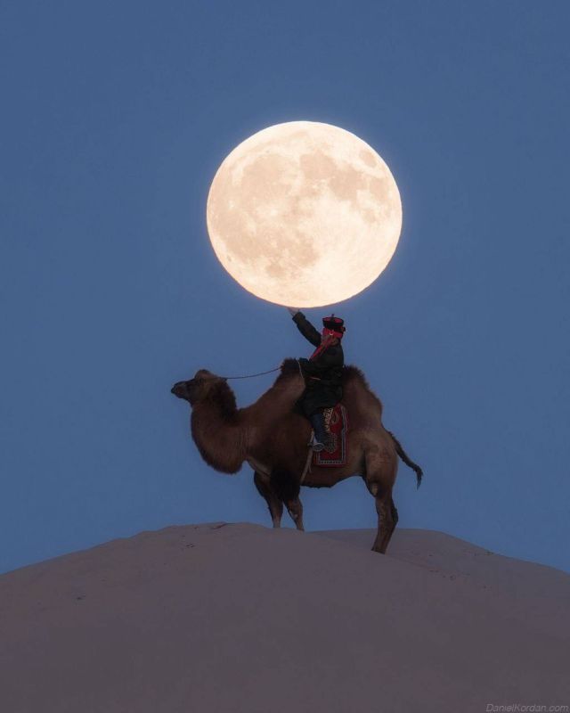 ������� �� ����:. ���������� � ����������� ������� ����